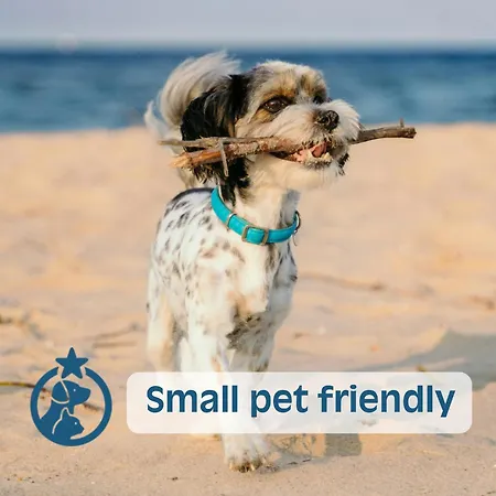 Nashira ליגננו סביאדורו